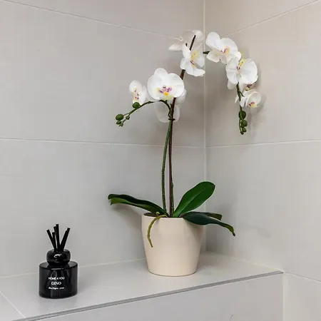 Center Kentmanni Lux Apartment, Free Parking Lägenhet Tallinn