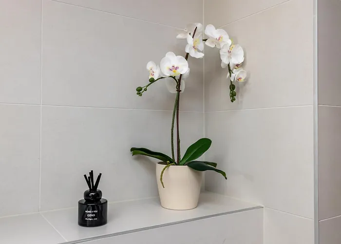 Center Kentmanni Lux Apartment, Free Parking Lägenhet Tallinn